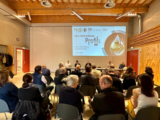 Rencontres PROFILS IDE en Grand-Est
